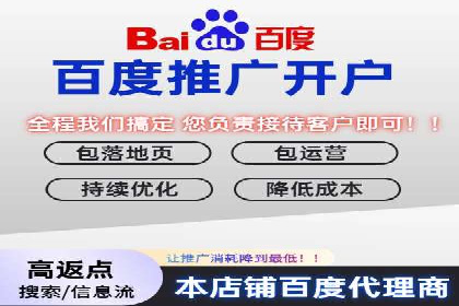 竞价代运营助力电商销量翻倍案例